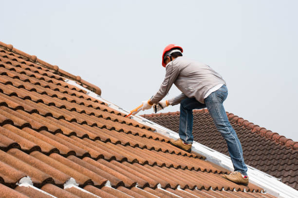 Best Gutter Replacement  in Hopkins, SC
